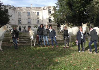 Cohésion d'équipe